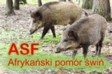 Obrazek dla news_410